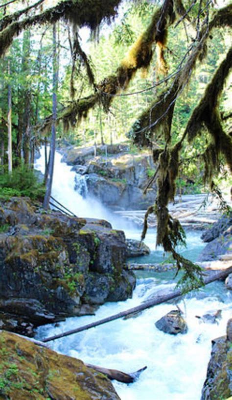 Best waterfall hikes in shenandoah national park – Artofit