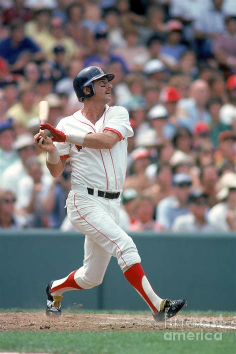 Carl Yastrzemski Photograph By Rich Pilling Fine Art America