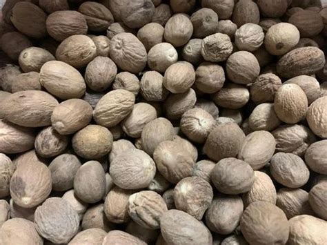 Jaiphal Nutmeg Spice At Best Price In Hyderabad By Kishanlal Madanlal