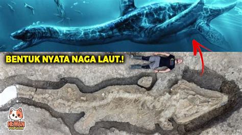 Penemuan NYATA Fosil Naga Laut 180 Juta Tahun Seperti Apa Bentuknya