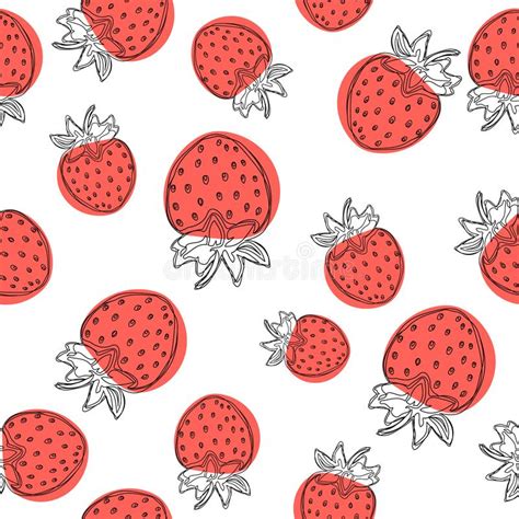 Strawberry Vector Pattern Fruit Illustration On White Background Good