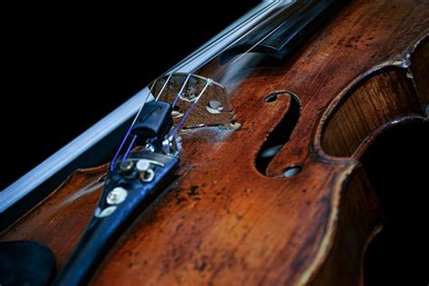 8+ Free Violin Family & Violin Images - Pixabay