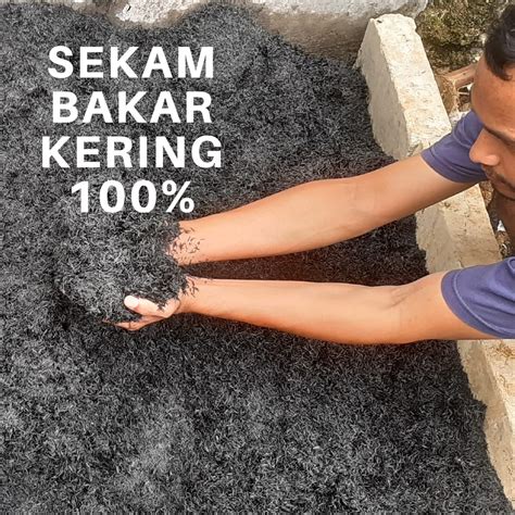 Jual Sekam Bakar Arang Sekam Hidroponik Pupuk Organik Media