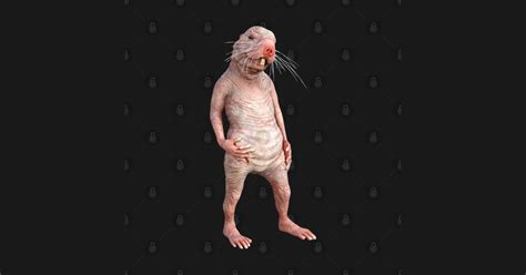 Funny Naked Mole Rat Art Rat Lover T Shirt TeePublic