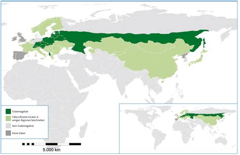 Risikogebiete Deutsches Grünes Kreuz e V