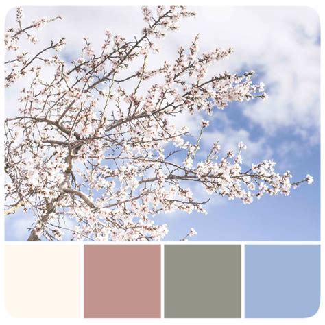 Sky Blossom Color Inspiration Color Palette Paint Color Swatch