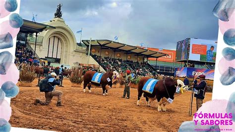 Exporural Exposici N Rural Argentina La Feria Del Campo En Palermo