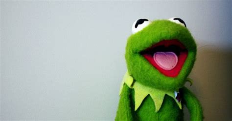 Kermit Laughing