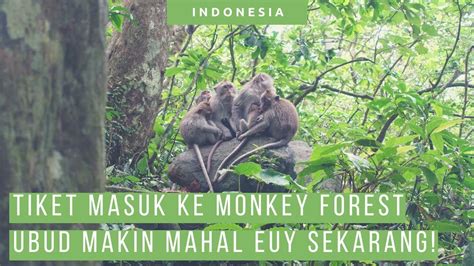 Monkey Forest Ubud Bali Harga Tiket Aktivitas Info Wisata 2024