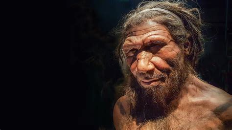 Neanderthals Y Chromosome Replaced During Mating Event With Human