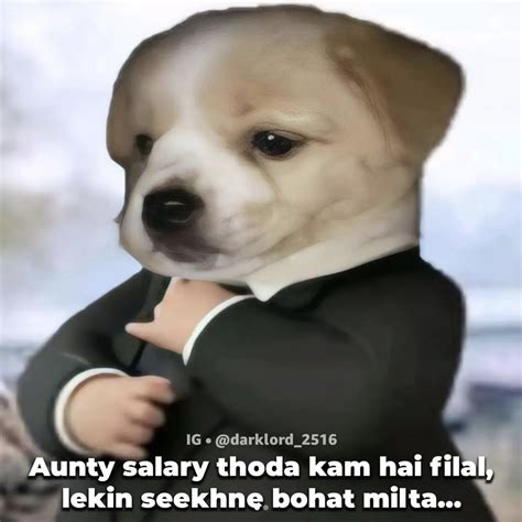 Dog In A Suit Dog In A Suit Know Your Meme