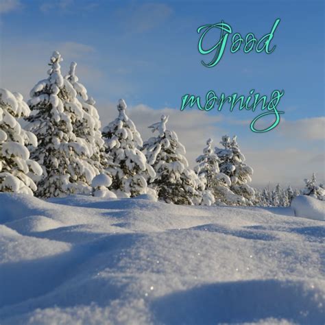 40+ Good Morning Snow Images