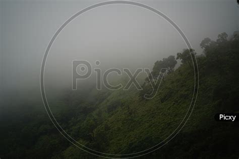 Image Of Foggy Mornings In Chickmangalur Valley Views Of