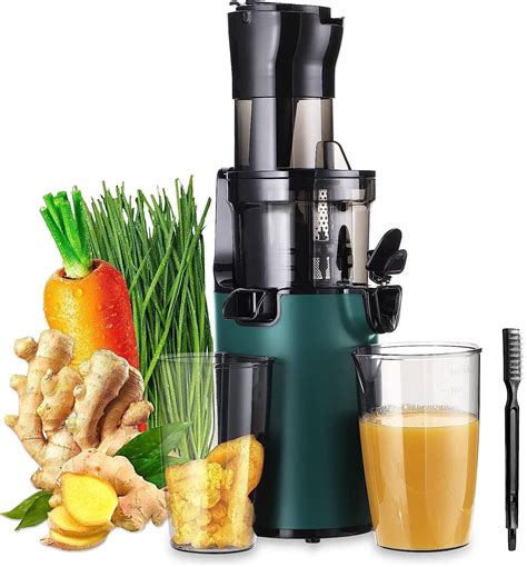 200W Electric Cold Press Masticating Juicer for Fruits, Vegetables ...