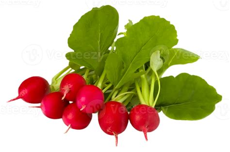 Radish Png Transparent Background 29713573 Png