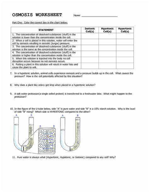 50 Diffusion And Osmosis Worksheet