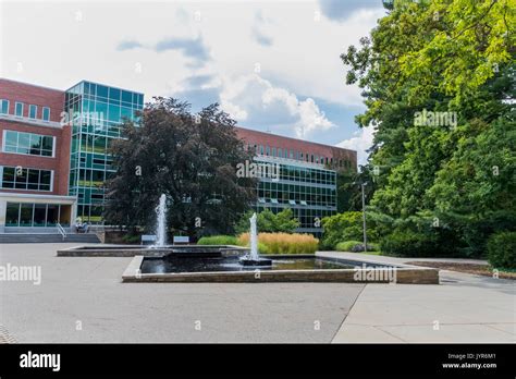 Michigan State University Campus Stock Photo - Alamy
