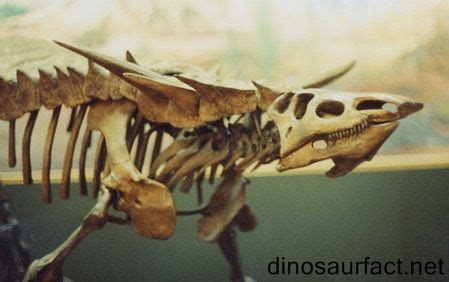 The #Desmatosuchus is one of the largest known aetosaurs. Megafauna ...