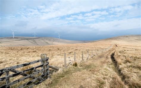 Octopus Renewables To Acquire 50 Mw Wind Project In Scotland Onshore