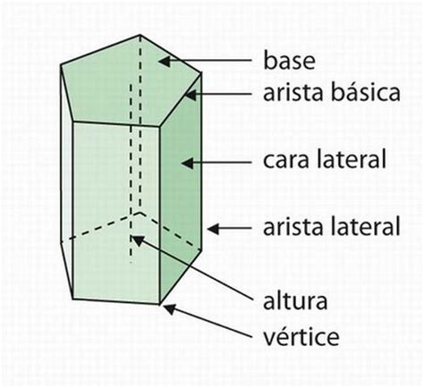 Cómo se clasifican los prismas Respuestas Tips