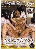 美人課長 緊縛大糞漏らし 北条麻妃 opud 202 北条麻妃 bittorrent Download dmm