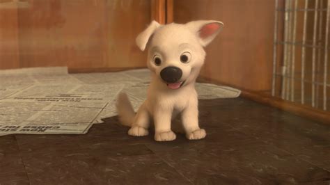 Puppy Bolt - Disney's Bolt Photo (44722895) - Fanpop