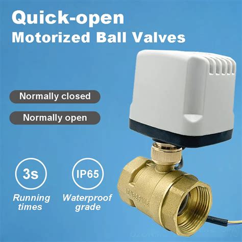 Dn15 Dn20 Dn25 Dn40 Dn50 Normally Closed Open Motorized Ball Valve 220v 12v 24v 2 Wire