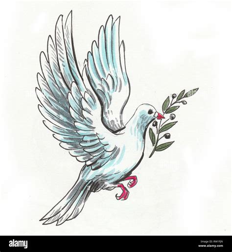 Flying Dove Of Peace With Olive Branch Ink And Watercolor Illustration