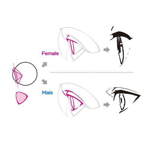 How To Draw Japanese Anime Eyes Step By Step