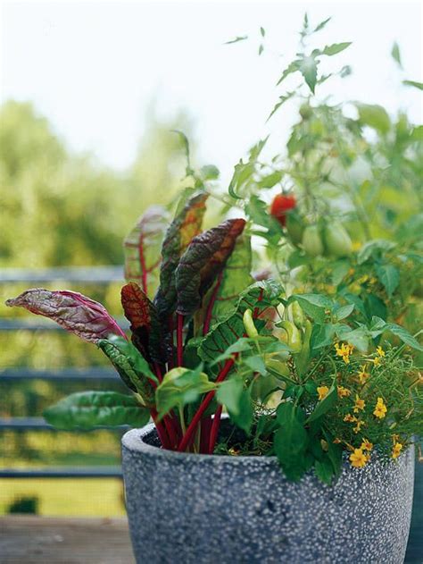 Vegetable Container Garden Ideas For A Prettier Way To Grow Produce