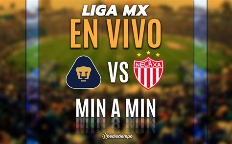 Pumas vs Necaxa EN VIVO Transmisión ONLINE Partido Liga MX 2024