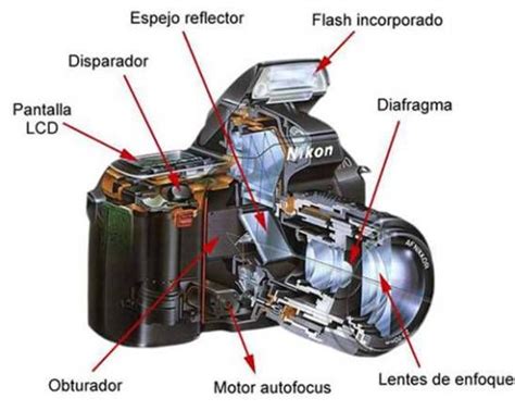 Partes De La C Mara Reflex