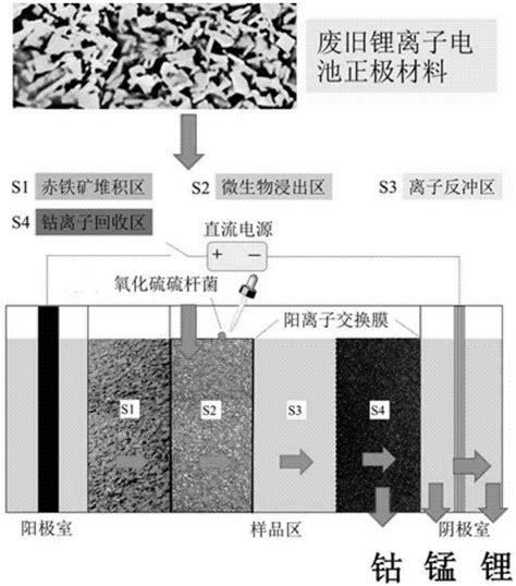 一种同步分离回收废旧锂离子电池正极材料中钴、锂、锰的方法与流程