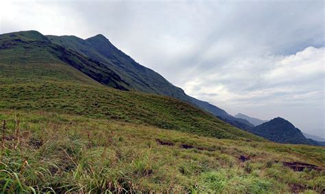 Chembra Peak Trekking