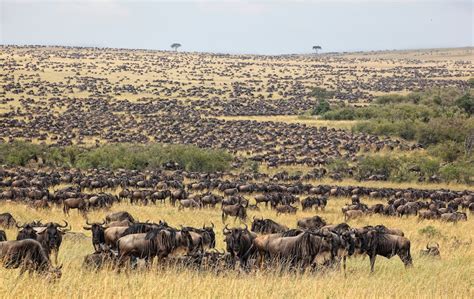 Tourism in Western Kenya - western kenya tourism