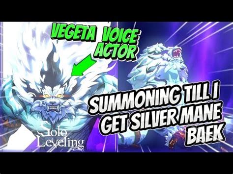 Summoning On The New Silver Mane Baek 100 Summons For Selection