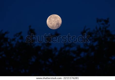 Nearly Full Moon Craters Visible Sets Stock Photo 2211176281 | Shutterstock