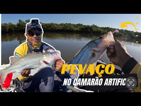 ROBALO PEVA GIGANTE NO CAMARÃO ARTIFICIAL pescaria YouTube