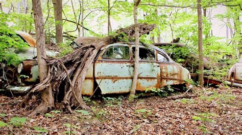 Junkyard Sighting | Barn Finds