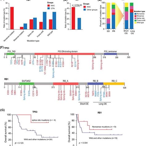 RB1 mutation types are different in patients with neo‐adjuvant ...