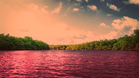 Las Aguas Del R O Nilo Se Ti Eron De Rojo Provocando Conmoci N Mundial