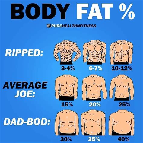 Fitnessloversig On Instagram 🔥body Fat Percentages🔥 Which One Are