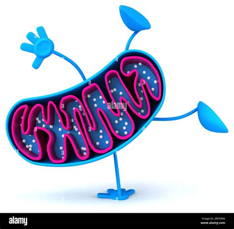 Fun 3D cartoon mitochondria character Stock Photo - Alamy