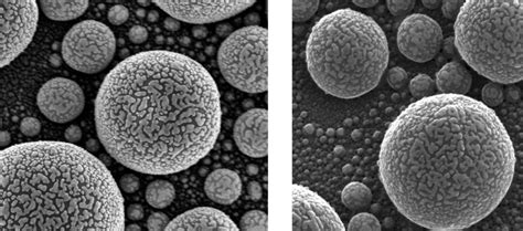 Gold Atoms Using a Helium Ion Microscope