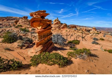 Cottonwood Cove Area Coyote Buttes South Stock Photo 1259191453