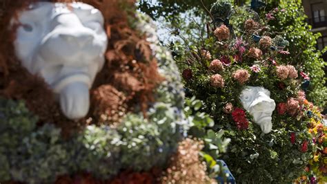 La primavera se adueña del centro de la ciudad