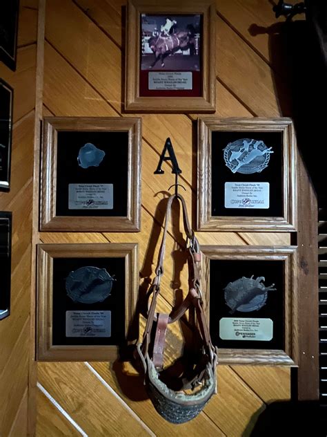 Bodacious - Sammy Andrews Legendary Champion