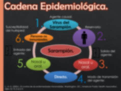 Imitaci N Curiosidad Abandono Sarampion Cadena Epidemiologica Micr Fono