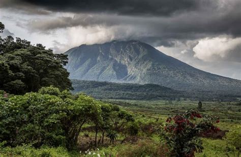 | Volcanoes National Park Rwanda