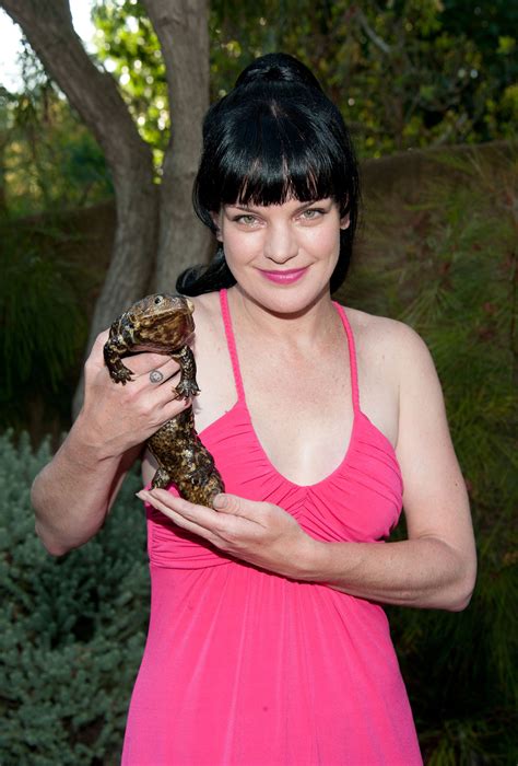 Pauley Perrette